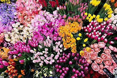 感恩回馈！《三国群英传》单机系列现金返利，8代史低折扣